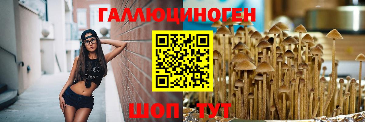 Псилоцибиновые грибы Psilocybe  Вход с VPN  Кстово 