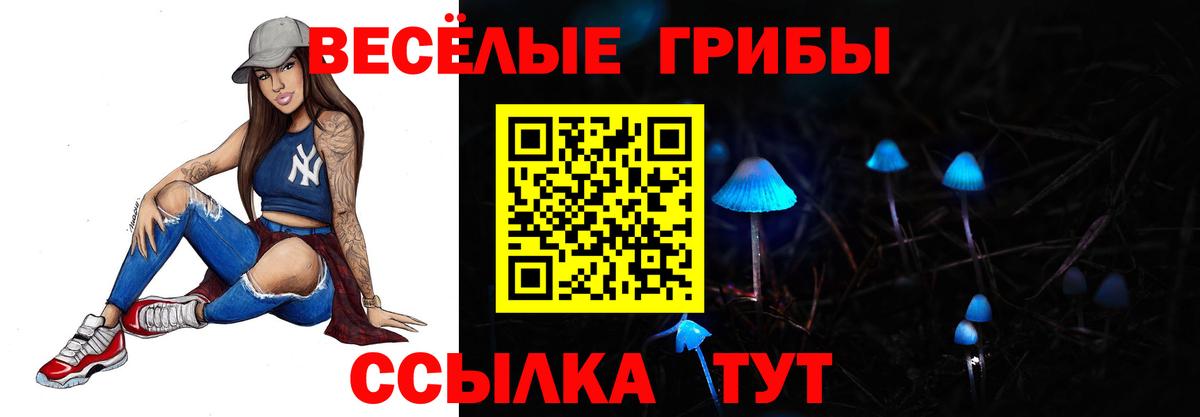 Псилоцибиновые грибы Psilocybine cubensis Кстово